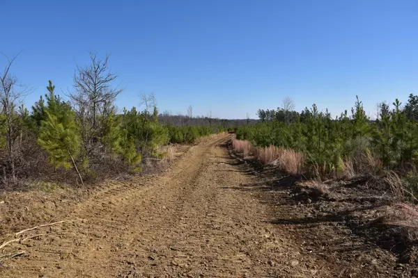 Stewart, TN 37175,0 White Oak Rd