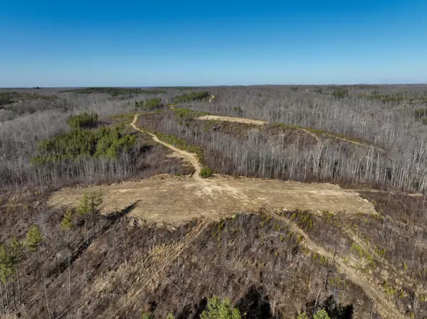 Stewart, TN 37175,0 White Oak Rd