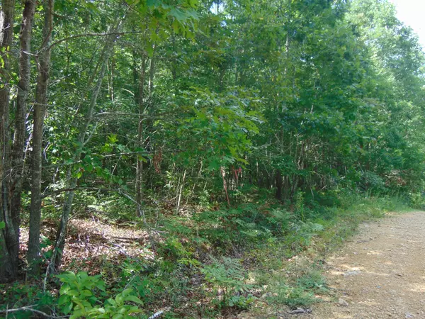 Summertown, TN 38483,0 PIne Lake Rd