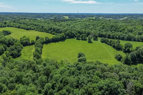 Cornersville, TN 37047,2031 Simmons Ridge Rd