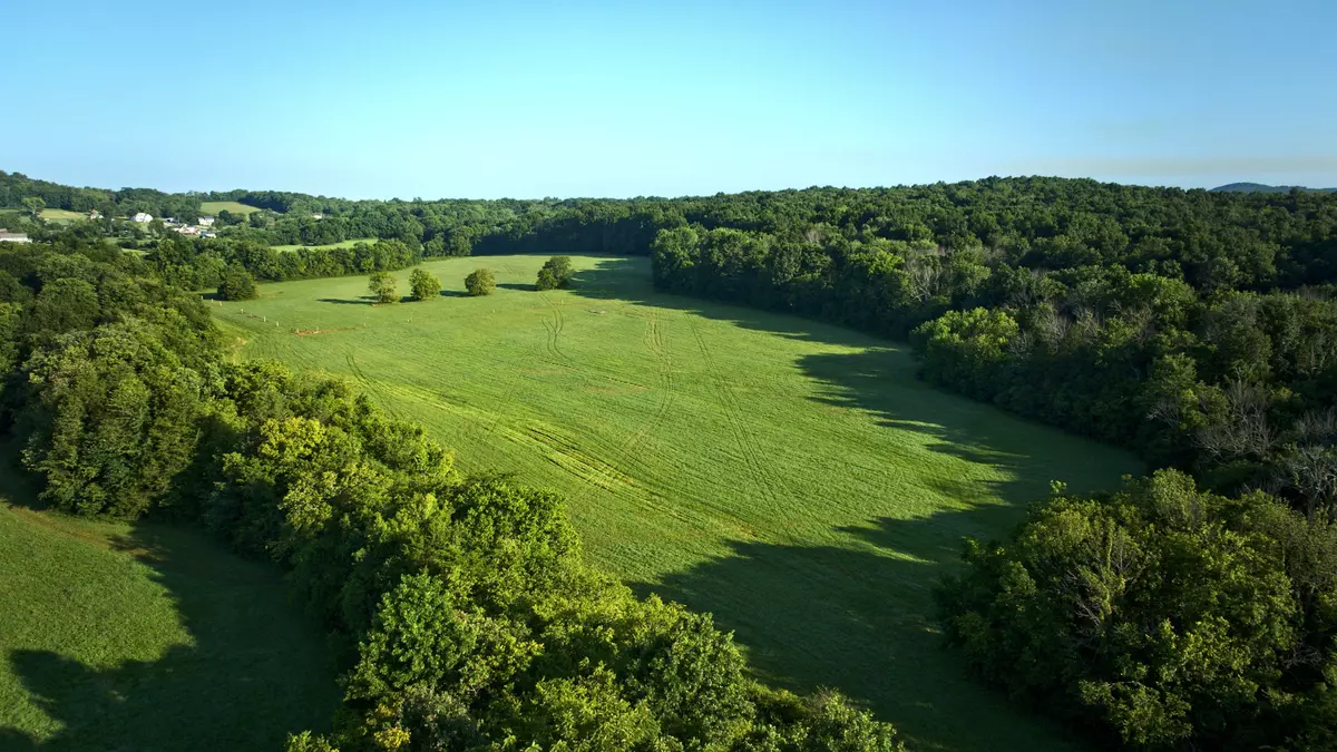 Lebanon, TN 37087,0 Swindell Hollow Rd