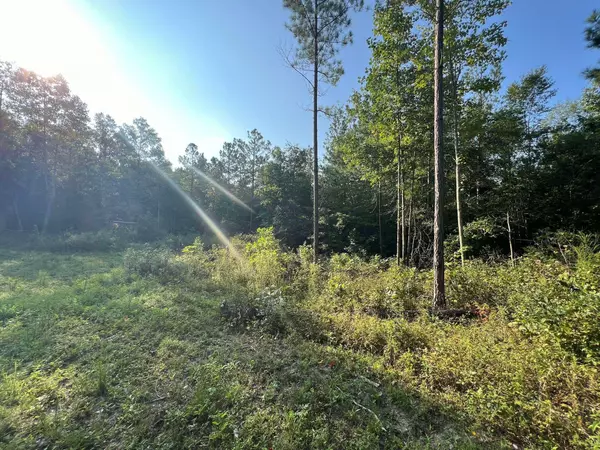 Dunlap, TN 37327,493 Bear Wallow Road