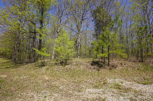 Stewart, TN 37175,8 Highway 232
