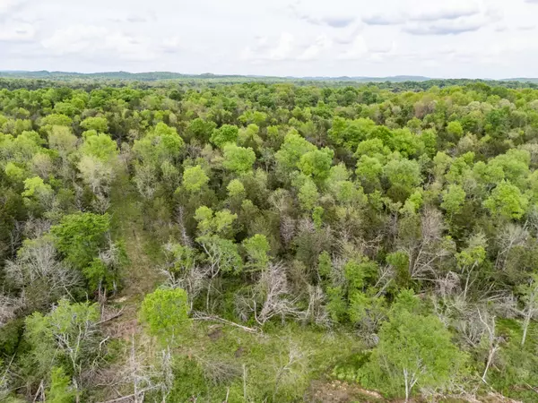 Spring Hill, TN 37174,0 Kedron Road Tract 1