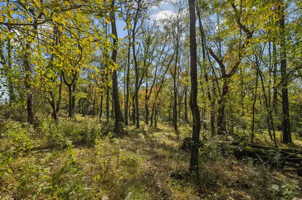 Columbia, TN 38401,4B Stephens Rd