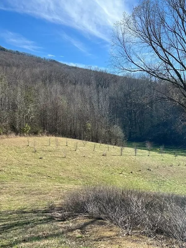 Whitwell, TN 37397,830 Ketner Cove Road