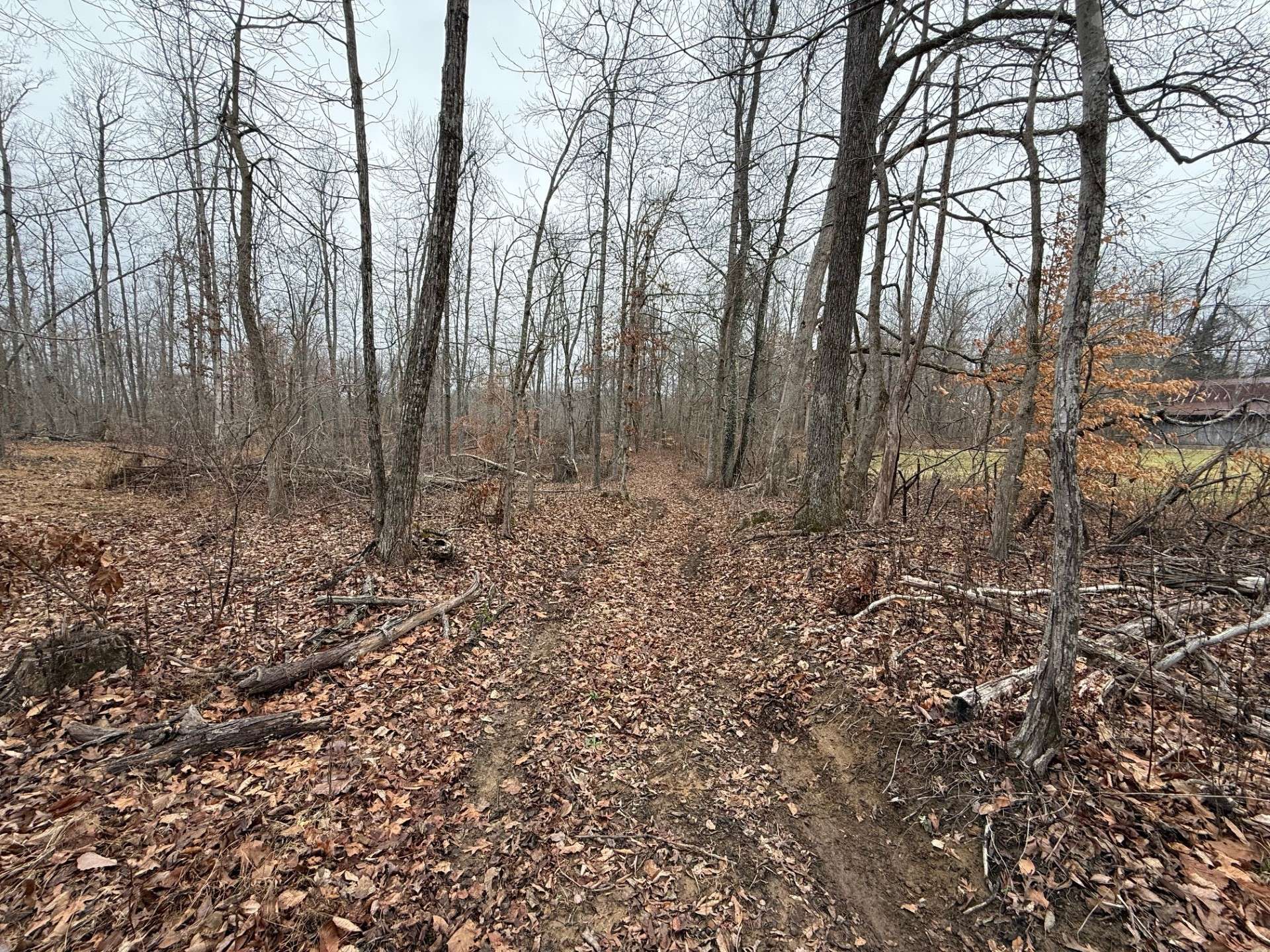 Beechgrove, TN 37018,0 Paul Harrell Rd