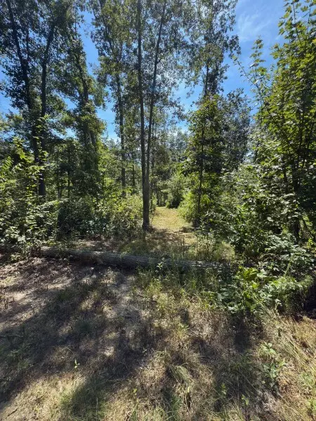 Beechgrove, TN 37018,0 Paul Harrell Rd