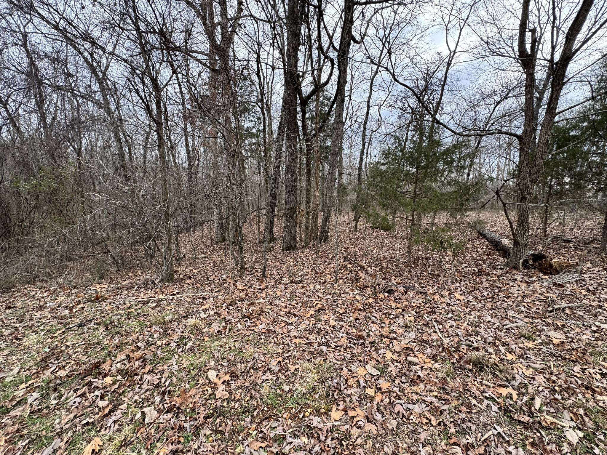 Camden, TN 38320,0 Alpine Rd