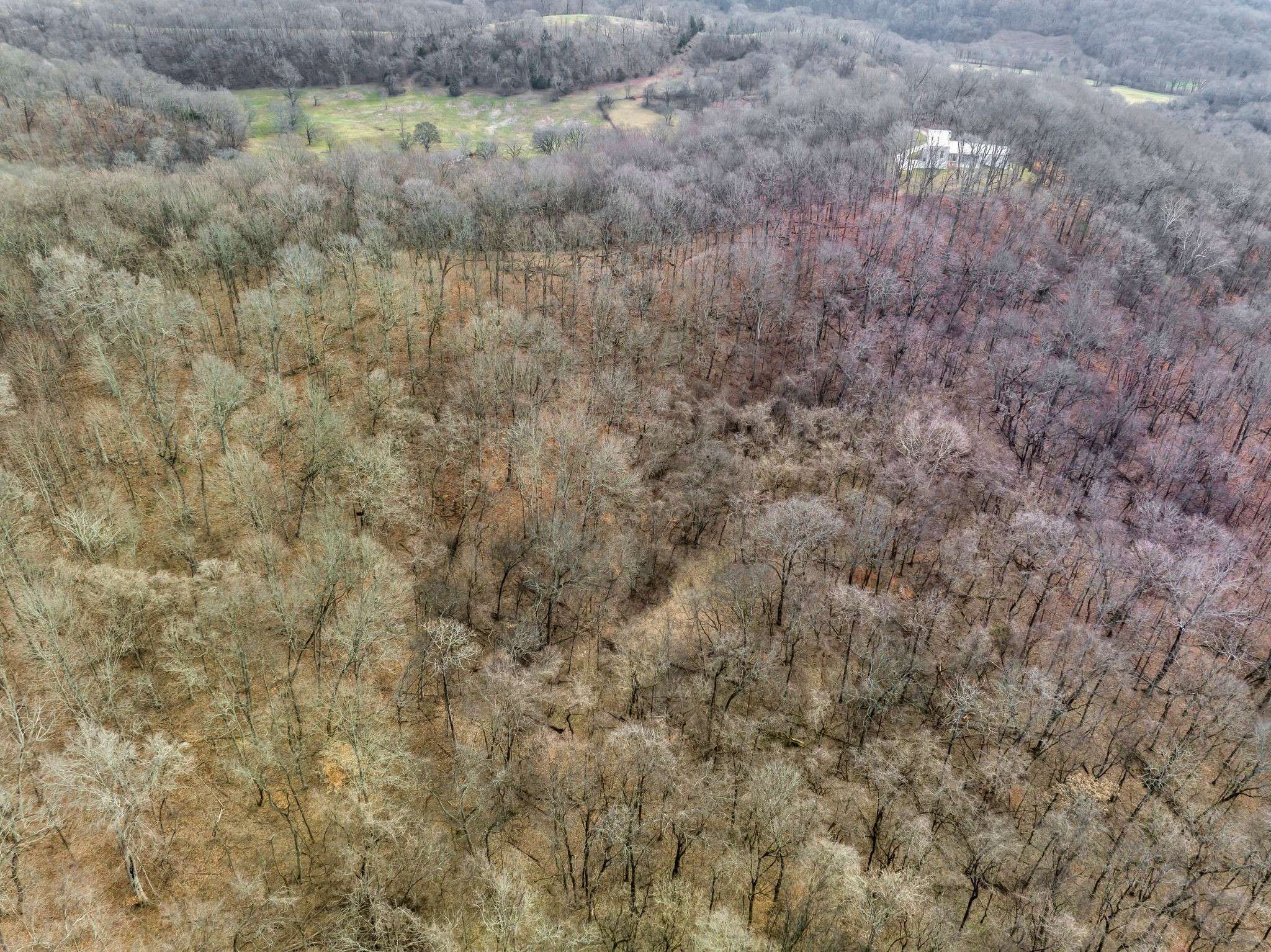Franklin, TN 37064,3171 Blazer Rd