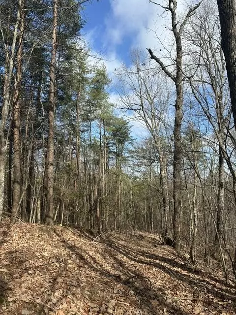 Spencer, TN 38585,1257 State Hwy 111