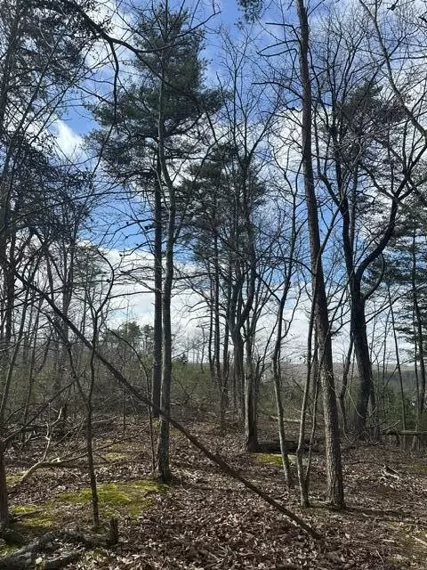 Spencer, TN 38585,1257 State Hwy 111