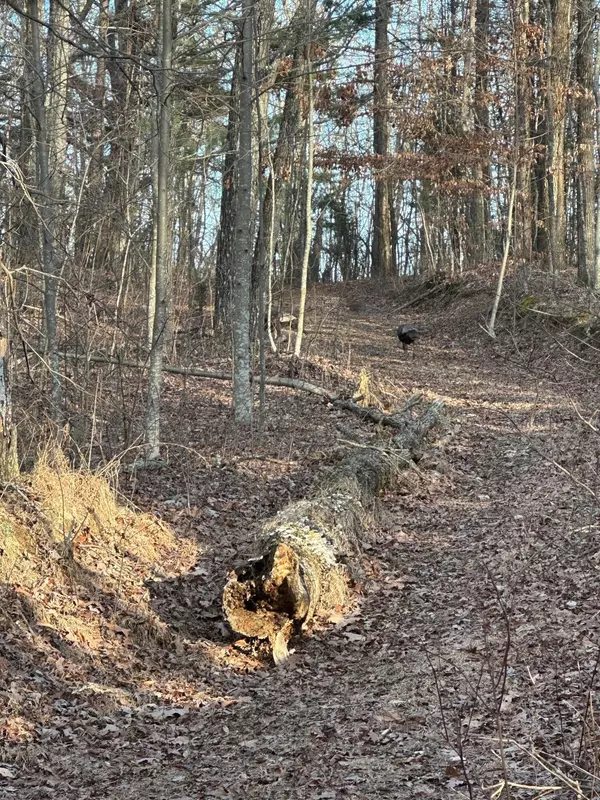 Spencer, TN 38585,1257 State Hwy 111