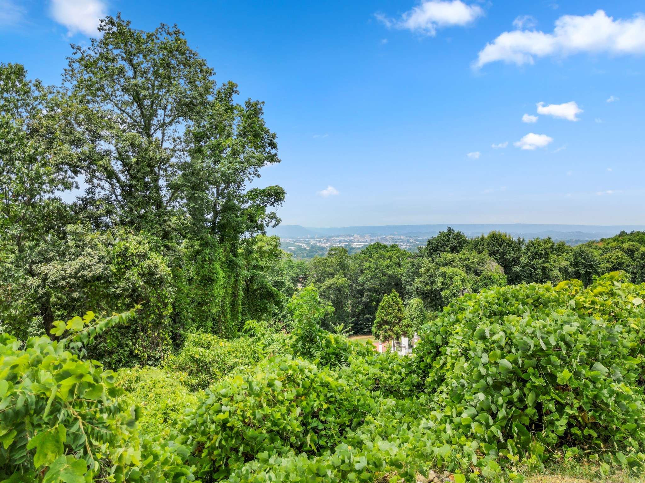 Chattanooga, TN 37404,557 W Shadowlawn Dr