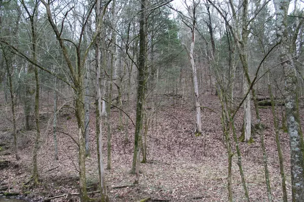 Hartsville, TN 37074,0 Masters Lane