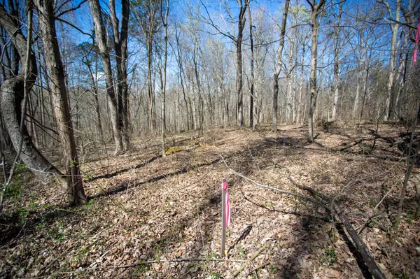 Cross Plains, TN 37049,0 Cedar Grove Rd