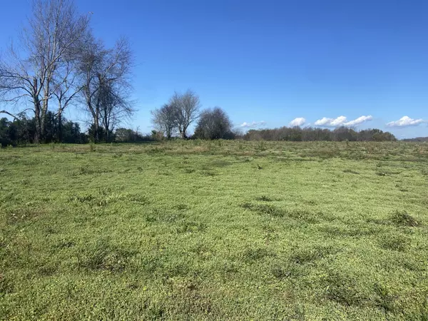 Morrison, TN 37357,0 Shelbyville Road Tract 3