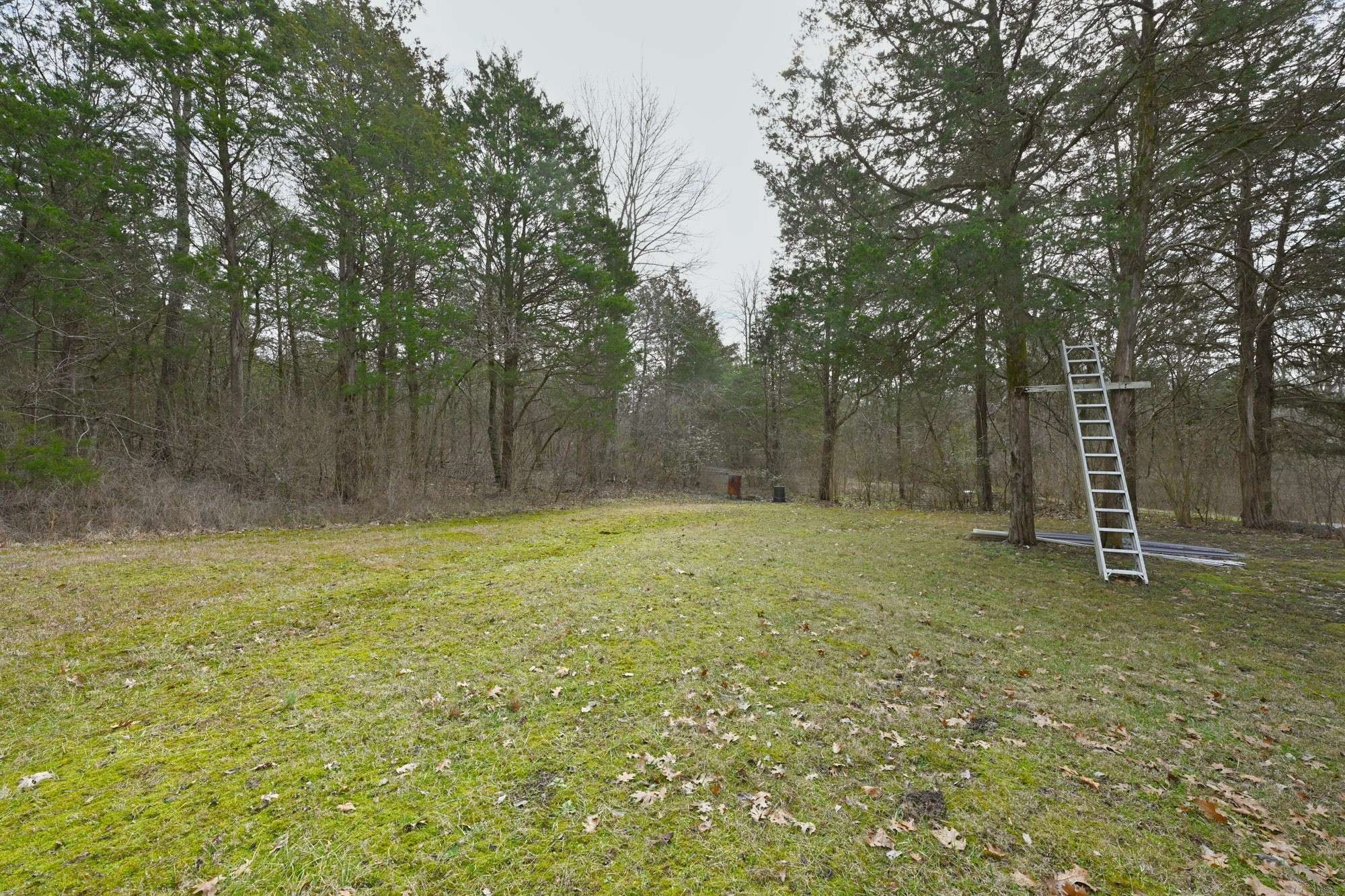 Castalian Springs, TN 37031,247 Carter Ln