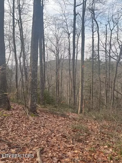 0 Davidson Drive, Monterey, TN 38574