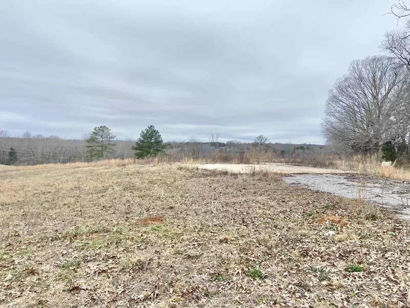 139 Backwoods Ln, Iron City, TN 38463