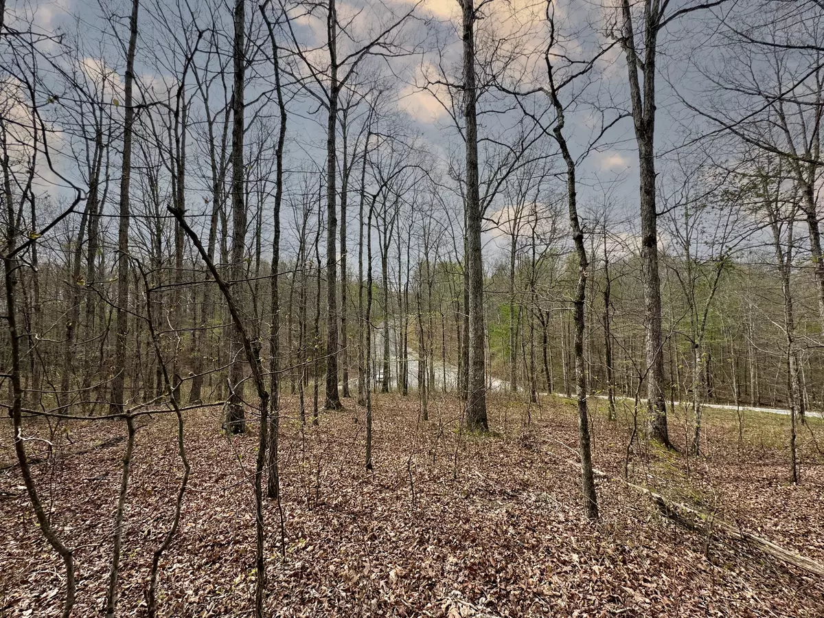 Mc Ewen, TN 37101,0 Ridgewood Drive