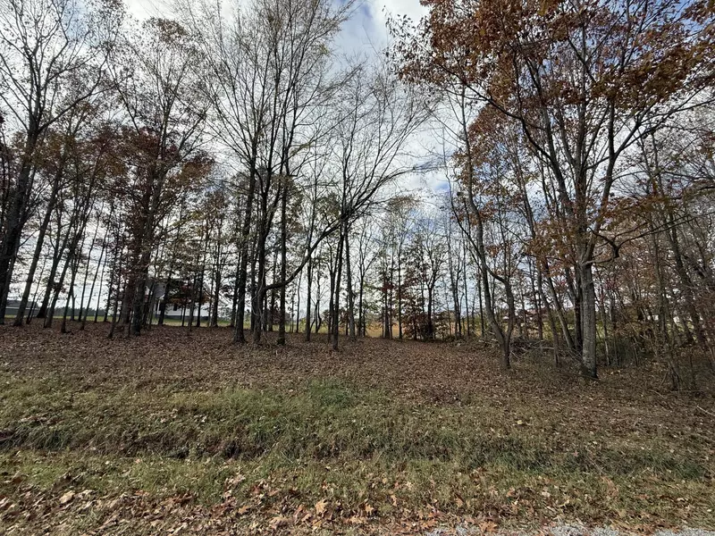 0 Cotton Ln, Leoma, TN 38468