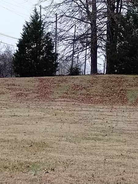 2411 Fairview Blvd, Fairview, TN 37062