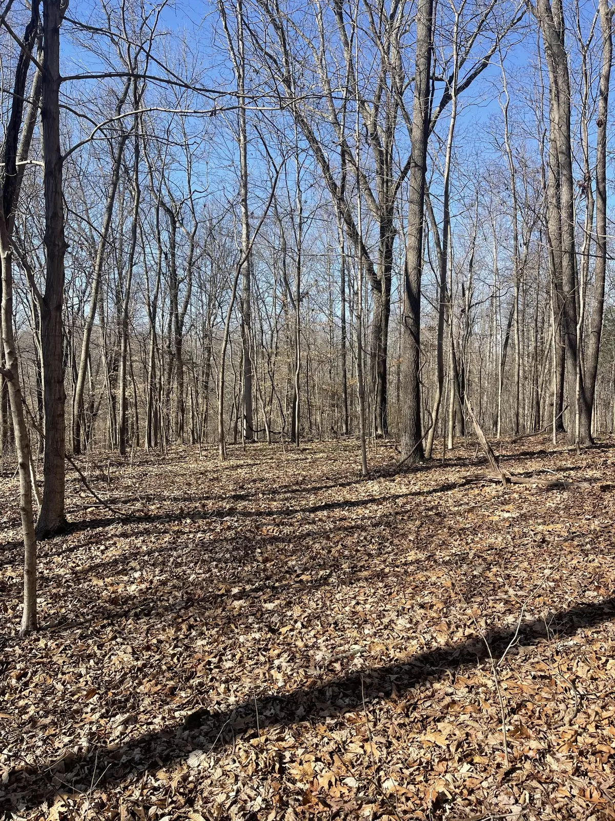 Lafayette, TN 37083,165 Pleasant hill road