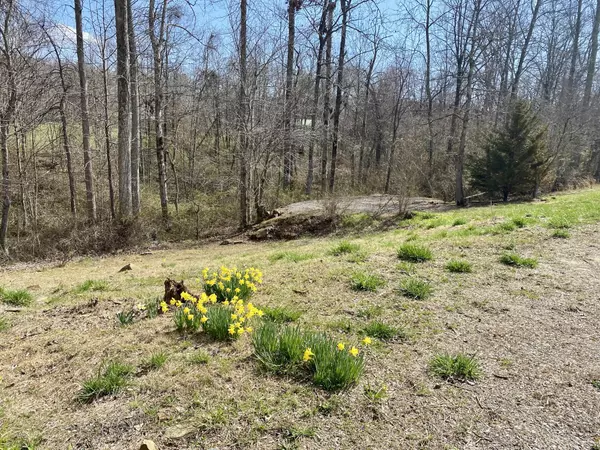 Crossville, TN 38572,164 Norris St