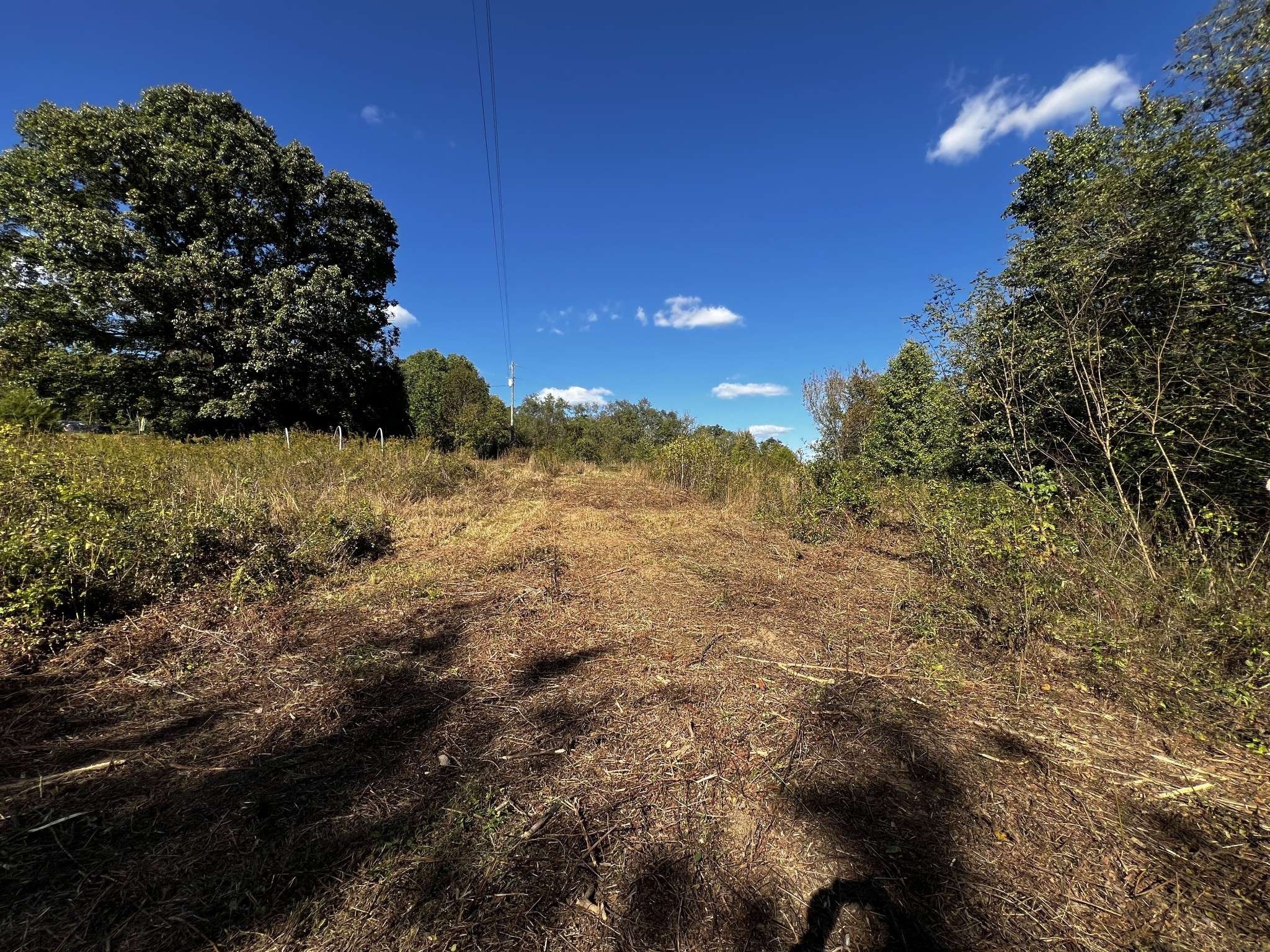 Franklin, TN 37064,4419 Bagsby Ln