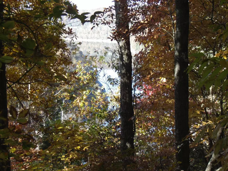 0 Creed Wright Road, Walling, TN 38587