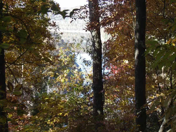 Walling, TN 38587,0 Creed Wright Road