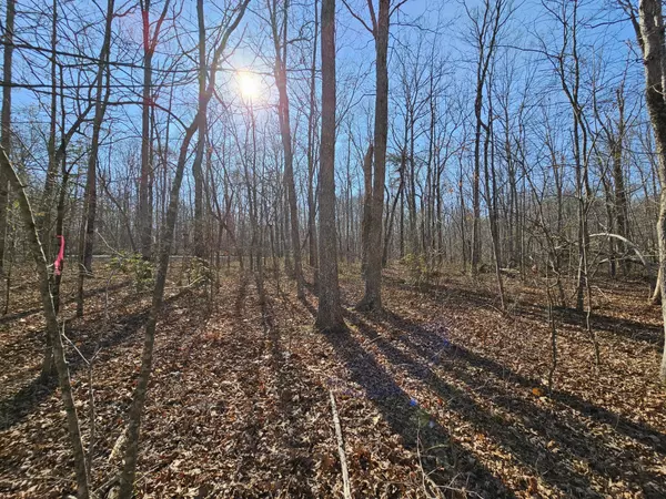 Monteagle, TN 37356,5 Timberwood Trace