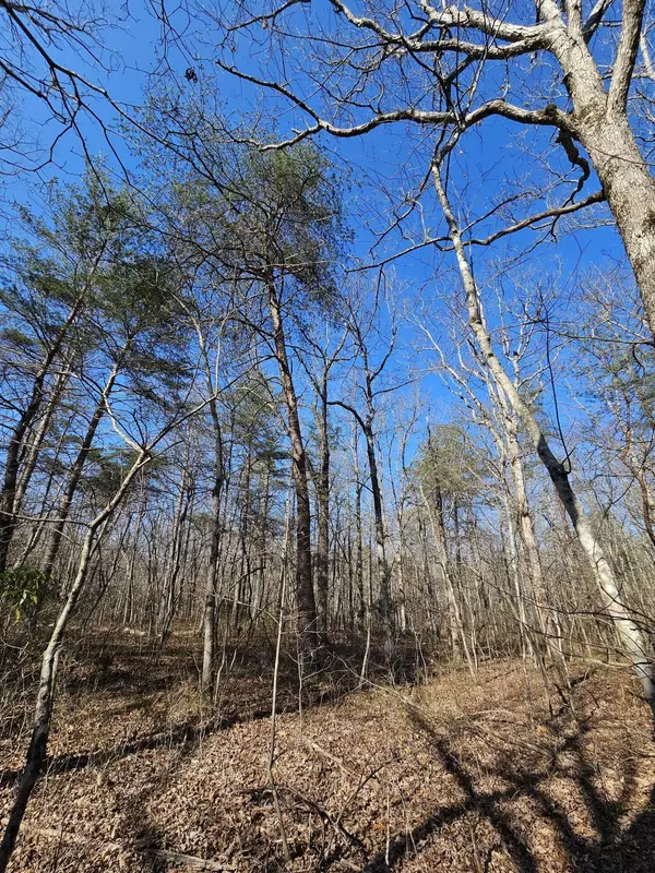 Monteagle, TN 37356,5 Timberwood Trace