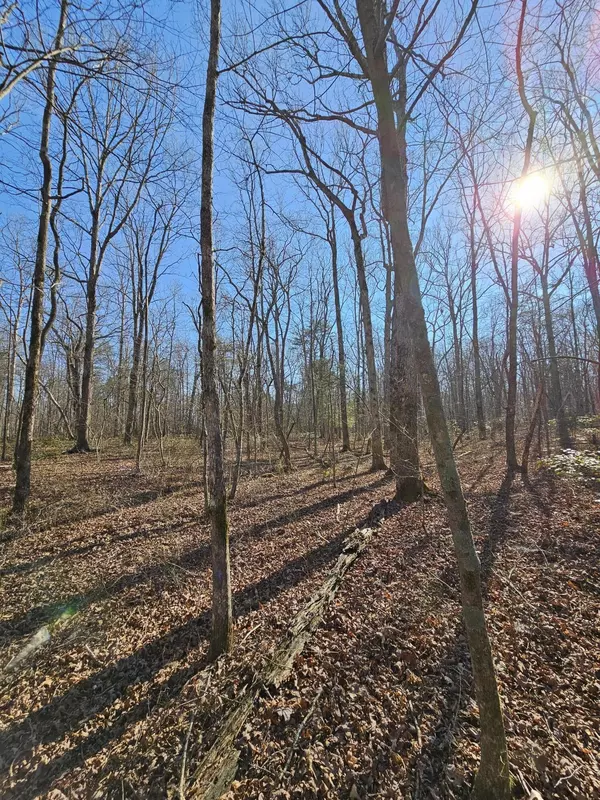 Monteagle, TN 37356,5 Timberwood Trace