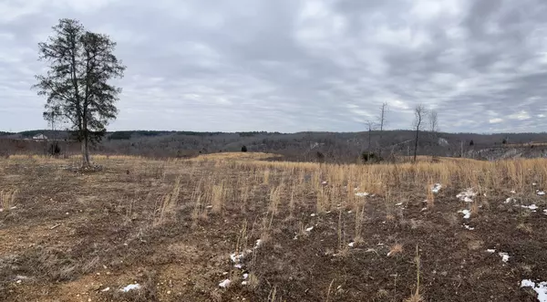 Lobelville, TN 37097,365 Twin Pines Overlook