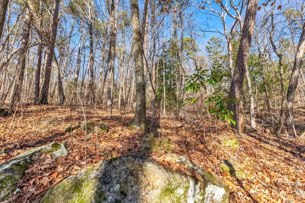 Chattanooga, TN 37409,0 Lookout Street