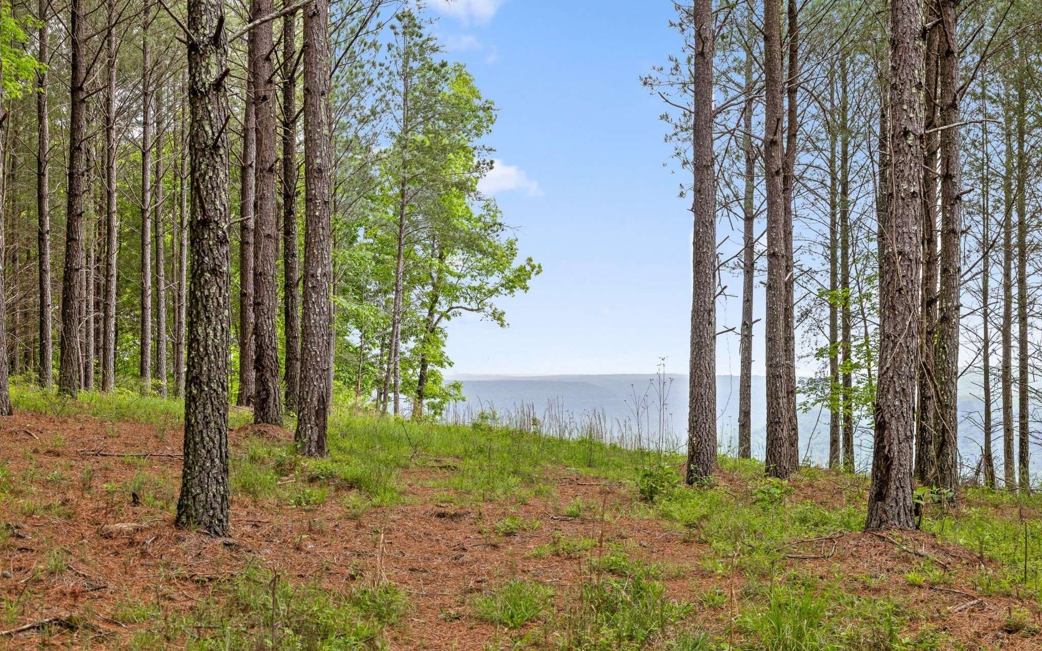 Guild, TN 37340,1251 Mullins Point