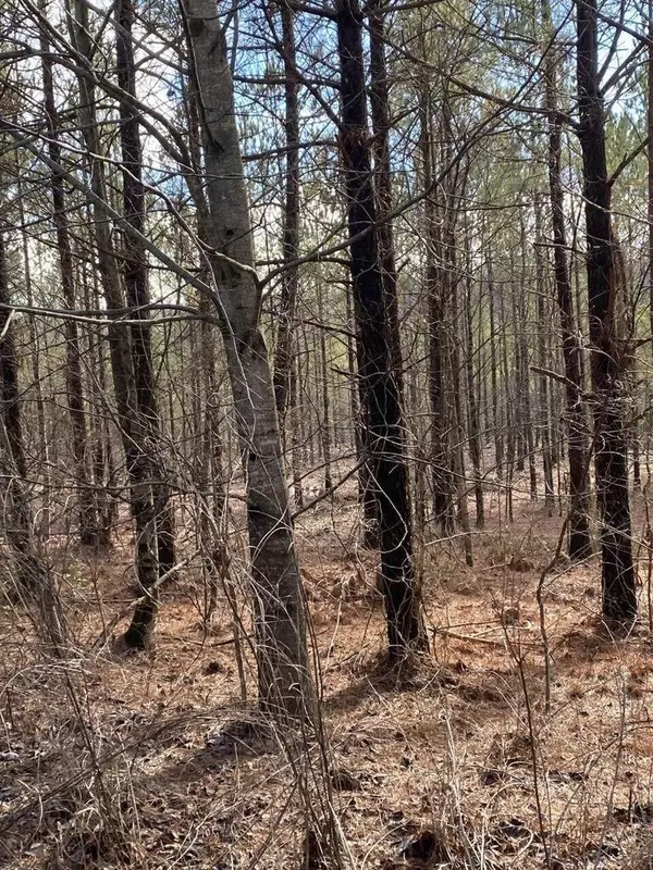 5 Thomas Springs Road, Crossville, TN 38572