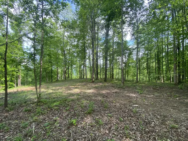 Baxter, TN 38544,5881 Canoe Way