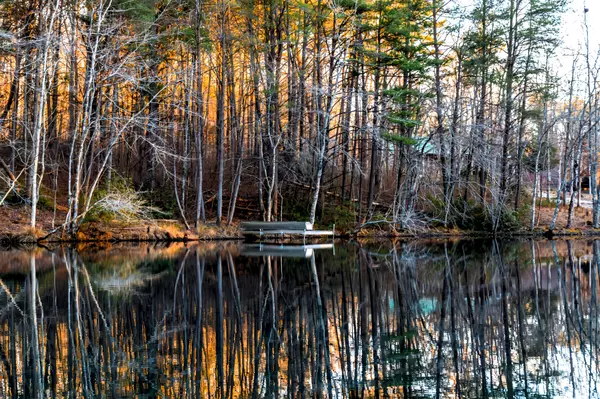 Coalmont, TN 37313,23383 SR 108