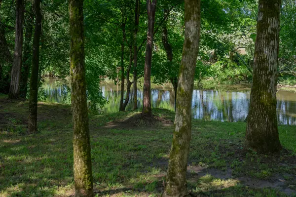 Murfreesboro, TN 37129,1007 Watercress Ct