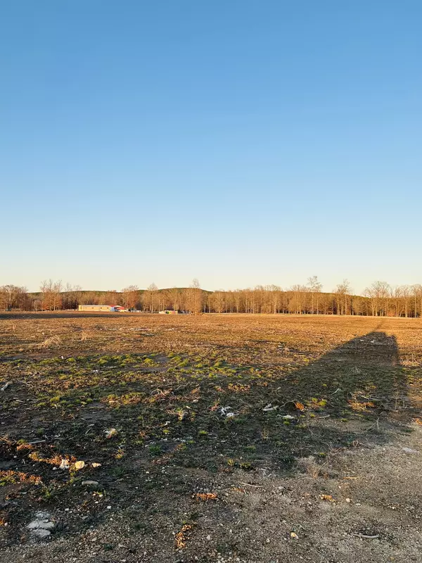Savannah, TN 38372,2870 Highway 226