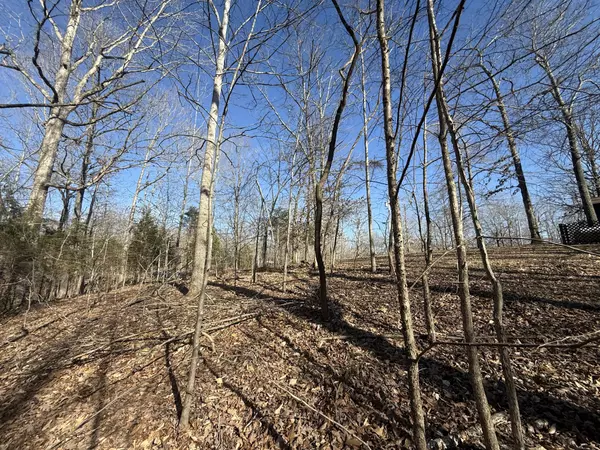 Indian Mound, TN 37079,40 Backwoods Estates