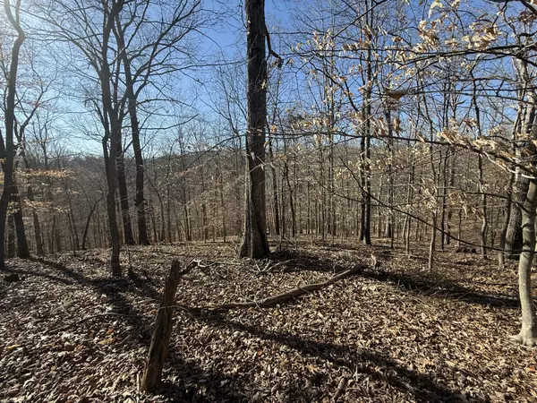 Indian Mound, TN 37079,40 Backwoods Estates