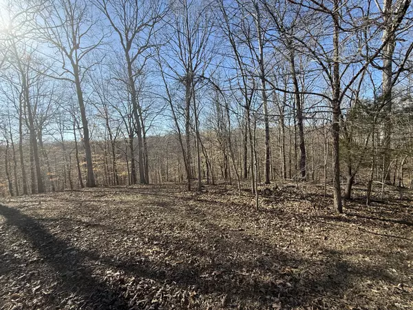 Indian Mound, TN 37079,40 Backwoods Estates