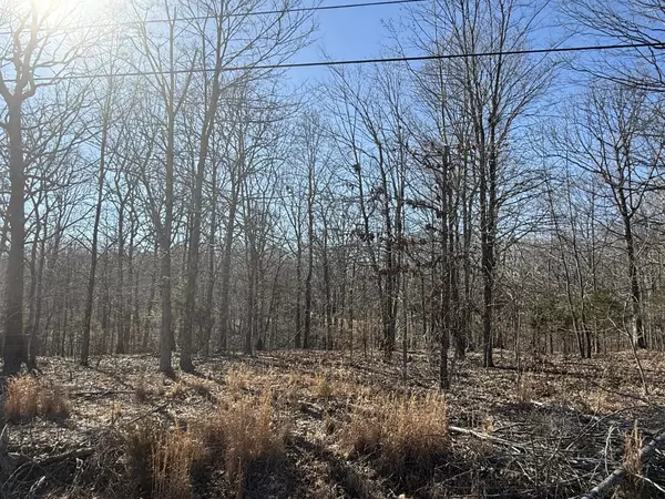 Indian Mound, TN 37079,30 Backwoods Estates
