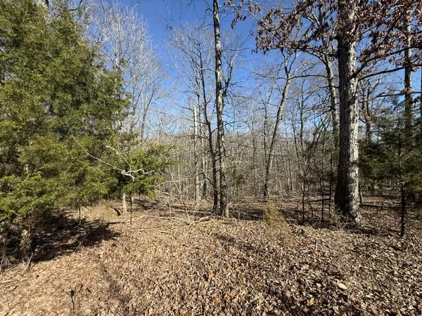 Indian Mound, TN 37079,20 Backwoods Estates