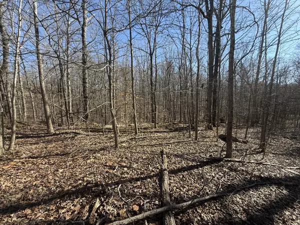 Indian Mound, TN 37079,26 Backwoods Estates