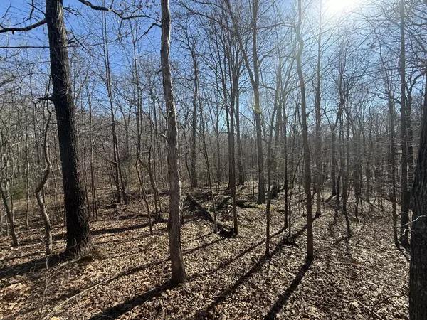 Indian Mound, TN 37079,26 Backwoods Estates